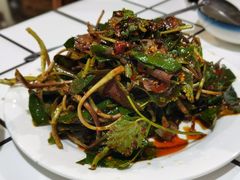 凉拌折耳根-小板凳(四公里店)