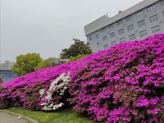 -长阳创谷