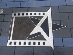 -星光大道