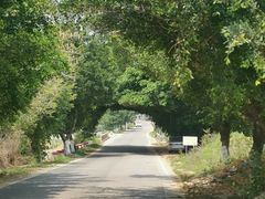 -海堤葡萄园中小学生研学基地