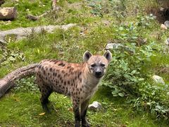 -上海动物园(地铁站)