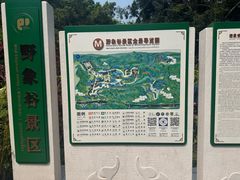 -野象谷景区