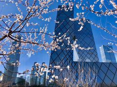 -中央广播电视总台(光华路办公区)