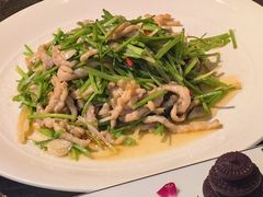 -大海碗·炸酱面·烤鸭·京菜(天坛店)