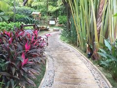 -厦门日月谷温泉渡假村