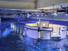 -成都浩海立方海洋公园