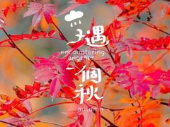 -光雾山旅游景区