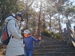-千岛湖天屿景区