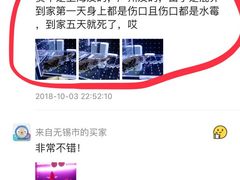 -龙大花卉苗木市场