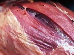 腱子肉-刘纪孝腊牛羊肉(北广济街店)