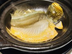-菉雅苑·湛江菜(前海卓越INTOWN店)