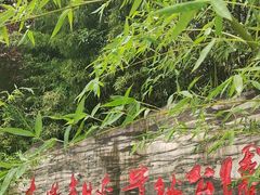-木塔寺遗址生态公园