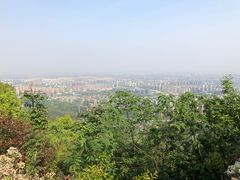 -杭州半山国家森林公园