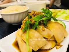 沙姜鸡饭-尚轩·海南鸡饭