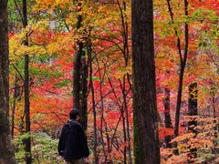 -丹东天桥沟景区