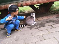-贵州森林野生动物园