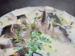 -滇色蒸汽石锅鱼(京华城店)