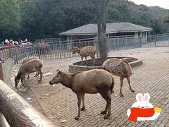 -无锡动物园·太湖欢乐园