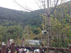 -楠柏弯休闲山庄(梨花溪店)