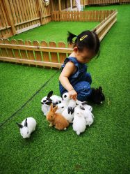 -萌宠亲子动物乐园(槐房万达店)