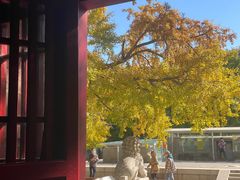 -北京石刻艺术博物馆(五塔寺)