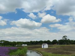 -上海杨姆庄园