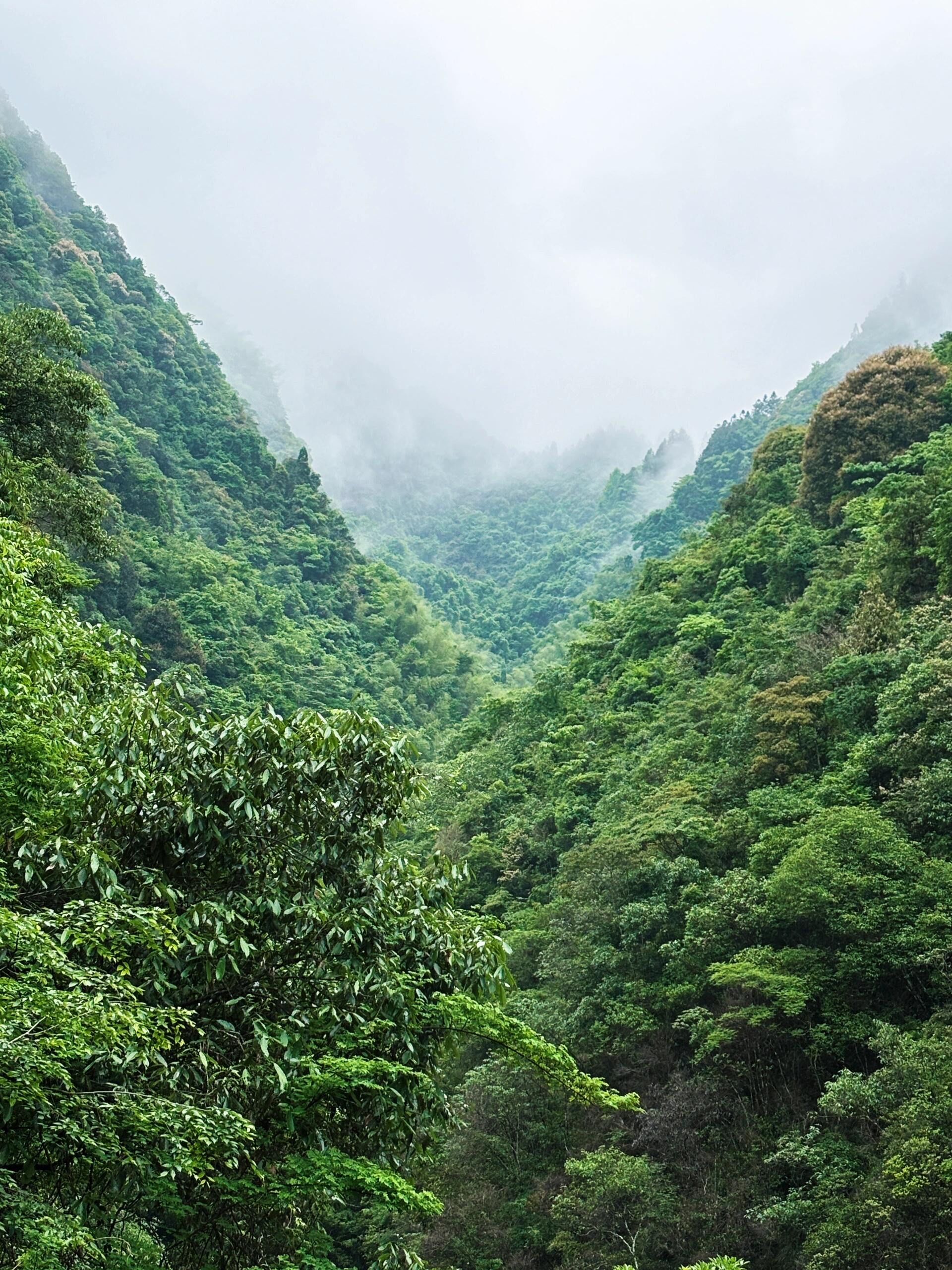 九龙漈瀑布,藏在县城里的4a级景区
