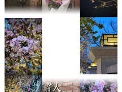 -睦南公园
