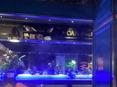 -加餐海鲜自助(宝龙一城店)