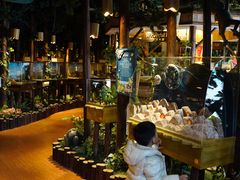 -黄海国家森林公园