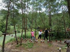 -九龙江国家森林公园