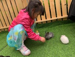 -萌宠亲子动物乐园(槐房万达店)