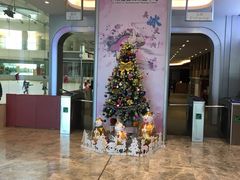 -陈露国际冰上中心(天津嘉里汇店)