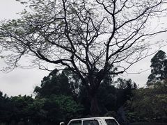 -南沙蒲洲花园