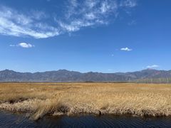 -野鸭湖国家湿地公园