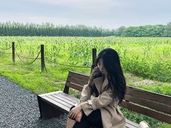 -汉长安城未央宫国家考古遗址公园