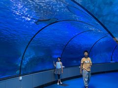 -泉城欧乐堡海洋极地世界