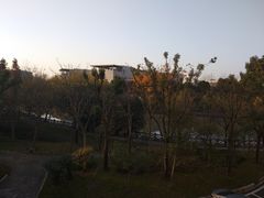 -上海中医药大学附属曙光医院(东部)