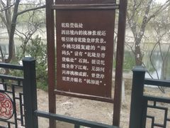 -桃花堤公园