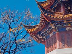 -翠湖公园