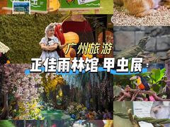 -正佳雨林生态植物园