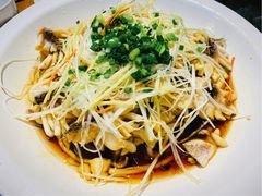 黑鱼花-三猫黑鱼花(南大店)