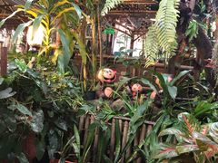 -Jungle Kitchen