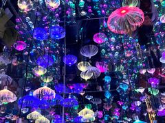 -梵高星空艺术馆(北京旗舰店)