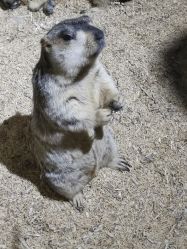 -酷嗒动物文化乐园(cutezoo西溪乐天城店)