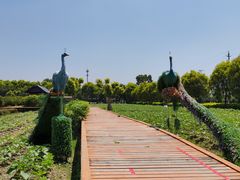 -广东花都香草世界旅游度假区