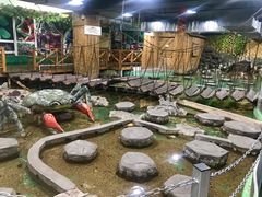 -上海大自然野生昆虫馆(东方明珠·爬宠昆虫探索中心)