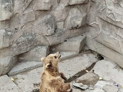 -哈尔滨北方森林动物园
