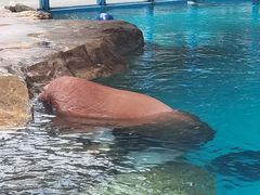 -海合安成都极地海洋公园
