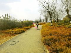 -白鹭湾湿地公园